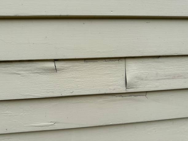 Same-Day Junk Removal Services in Taylor Lake Village, TX